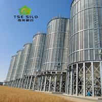 Grande Silo Professionale SolisFer in Acciaio Zincato con Assemblaggio a Bulloni per Stoccaggio di Grano e Cereali, Capacità 150-10000 Tonnellate