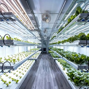 Contenedor de Cultivo Desmontable con Estructura Ensamblada con Tornillos, Canales de Drenaje, Flujo de Aire Natural, Aislamiento Ligero, para Cultivo de Vegetales de Hoja - Product Image 5