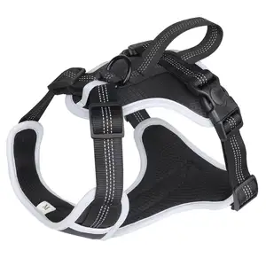 Imbracatura per gatti di Design personalizzato con colletto abbinato al guinzaglio papillon e Bandana Set gilet in Neoprene <span class=keywords><strong>XL</strong></span> reversibile per cani - Product Image 1