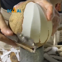 Lame de couteau à éplucher à la noix de coco en acier inoxydable 304 Taro Skin Papaye