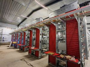 <span class=keywords><strong>Cage</strong></span> de capacité 250 oiseaux couche kenya cages à poulets <span class=keywords><strong>d</strong></span>'<span class=keywords><strong>occasion</strong></span> pour 2000 oiseaux petites fermes - Product Image 6