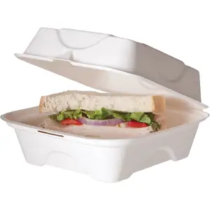 Tapa desechable Biodegradable para Sushi, bandeja de bagazo, caja caliente, 3 compartimentos de plástico, caña de azúcar, contenedor de alimentos para llevar