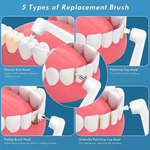 Machine à polir les dents à usage domestique, polisseur électrique portable rechargeable avec 3 pâtes, 5 têtes de brosse, composants en plastique - Product Image 3