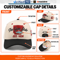 Casquette de baseball en coton à 5 panneaux personnalisée, broderie de logo, marque privée, vente en gros, OEM, vêtements de tête