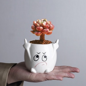 Maceta de Cerámica con Diseño de Personajes de Dibujos Animados, para Plantas Suculentas, Decoración Personalizada de Escritorio, <span class=keywords><strong>Pequeña</strong></span>, para Expresión Creativa Transfronteriza - Product Image 4