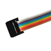 Cable de Conexión Personalizado DB9 Hembra a IDC con Cinta Arcoíris para Electrónica Industrial