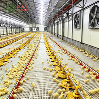 Nouvel équipement de ligne d'alimentation automatique pour volailles, pour fermes avicoles, poulaillers, système d'alimentation des poulets