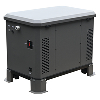Générateur multi-carburant 5KW 220V 230V 380V GPL/GN/GNC/GNL, portable, essence, propane, pour la maison, le camping, les situations d'urgence