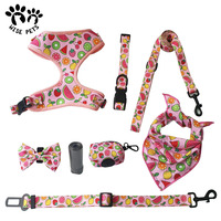 Conception de mode adorable fleur collier pour animaux de compagnie laisse douce respirante pour chiot gilet en maille rembourrée harnais pour chien avec étiquette personnalisée