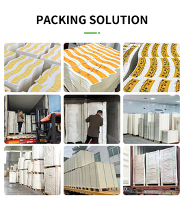 Gobelets en papier enduits de PE de qualité alimentaire, résistants aux fuites, pour boissons chaudes/froides, logo personnalisable, vente en gros d'usine - Product Image 6