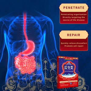Оригинальная оптовая продажа медицинская магнитотерапия Традиционная китайская медицина формула для снятия легкой грыжи - Product Image 3