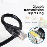 Kabel Twisted Pair Gigabit Ethernet Kategori 6 dengan Konektor RJ-45, Selubung PVC, 1 Meter, Sudah Terterminasi untuk Sistem Komputer