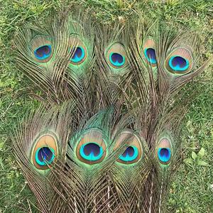 Plumes naturelles de queue de paon de 50-60cm de long bon marché en gros pour les costumes de carnaval et la décoration de festival - Product Image 2