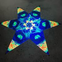 Tapisserie Lumineuse Néon Champignon Étoile, Réactive aux UV, pour Plafond Psychedélique, Idéale pour Festivals et Fêtes