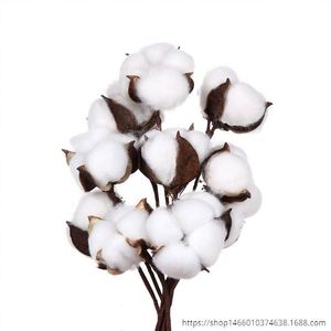 Small Cotton Sample Ginning Machine test Cotton China Seed Delinting Cleaning Extractor Machinery Cotton Ginning Machinery - Product Image 2