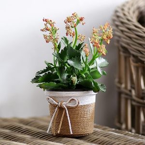 Petit panier à plantes <span class=keywords><strong>en</strong></span> <span class=keywords><strong>corde</strong></span> de papier-Panier enroulé tissé pour couvercle de <span class=keywords><strong>pot</strong></span> de fleur décoratif et organisation de la maison-Beige - Product Image 2