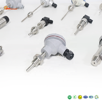 Sensor Suhu Berlapis Baja Kustom OEM ODM G1/2 M20x1.5 Probe 8mm 4-20mA 0.5%FS IP65 SS304 Elemen Platinum Impor RTD