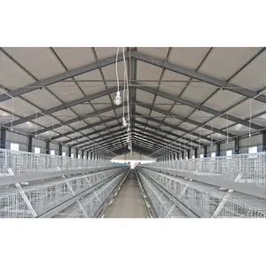 Environmental Control Closed System Modern Different Types of Prefab Steel Chicken Poultry House