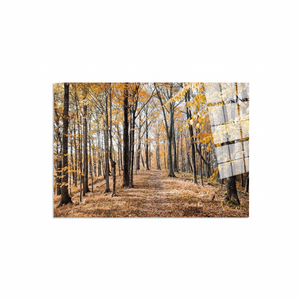 Lienzo impreso con diseño de bosque otoñal elegante: arte de paisaje natural tranquilo, arte en vidrio templado - Product Image 2