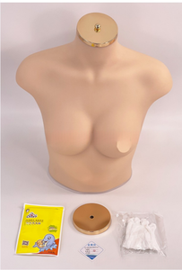 Реалистичная силиконовая модель женского торса, манекен, модель бюстгальтера для медицинских наук, подходит для размеров 75B/C - Product Image 2