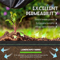 PP/PE couverture de sol en plastique paillis tapis de couverture des terres tissu de mauvaises herbes de jardin en rouleau tapis de bloc de mauvaises herbes robuste pour lit de fleurs