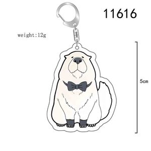 Porte-clés en acrylique, 35 Styles, Anime famille espion Anya seigneur bijoux Anime accessoires - Product Image 4