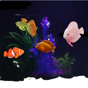 Groothandel milieuvriendelijke siliconen simulatie vis lichtgevende realistische tropische oceaanvis aquariumdecoratie nep - Product Image 3