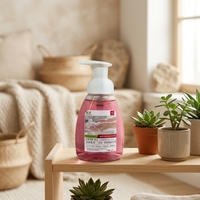 Savon liquide moussant pour les mains de haute qualité personnalisé à l'odeur de pêche et de citron, 250 ml, détergent ménager