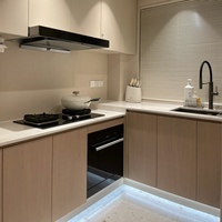 Meuble de cuisine modulaire en chêne massif laqué, style Shaker, moderne, luxueux, classique, écologique, avec porte en acrylique, en contreplaqué, résistant à l'eau, et évier intégré.