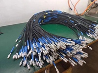Kabel Serat Optik Indoor 1Core G657A1 1m-3m GJYFXCH Pasokan Langsung Pabrik Sertifikat IOS Weiting
