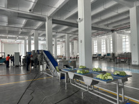 Industriële appel-, groente- en fruitwasserinstallatie, fruitborstelwasapparatuur voor het reinigen van uien