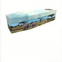 Ataúd de Papel para Exportación, Biodegradable, Ecológico, Diseños Personalizables, Estilo Europeo, Modelo 111