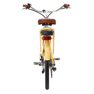 2025 acheter rapide Beach Cruiser vélo électrique vitesse maximale 28 Mph 26*1.75 Double paroi <span class=keywords><strong>jante</strong></span> 7 vitesses vélo électrique Cruiser pour femme - Product Image 5