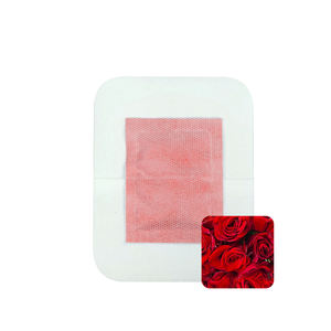 Patent produkte Chinesische Medizin Kräuter Wermut Detox Fuß pflaster Patch Detox Fuß Flock Patch Fuß Psg - Product Image 1