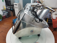Commerciële Mozzarella Kaas Rasp Snipper Maker Machine Mozzarella Kaas Snijmachine Groente Snijmachine