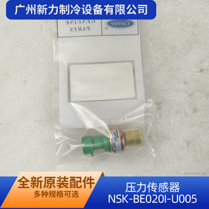 Sensor de Presión NSK BE020i U005 Tipo Manómetro con Montaje Roscado y Tecnología Piezoresistiva - Product Image 5