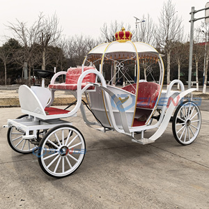 2026 Carrosse de mariage classique de luxe en acier, modèle citrouille, pour 4 à 8 personnes, blanc, pour transport spécial, à vendre - Product Image 2