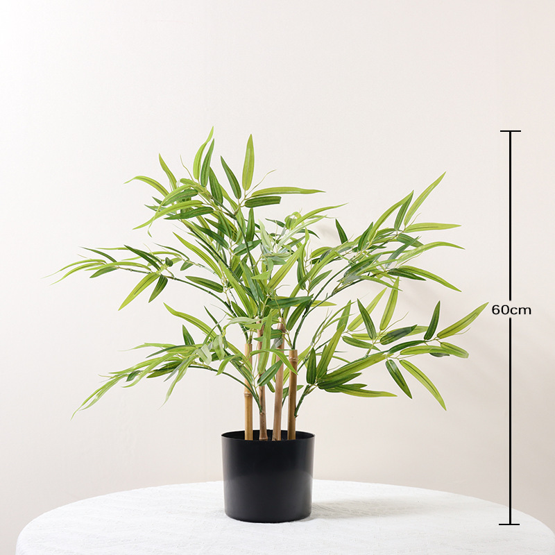Bonsaï en bambou 60CM