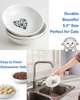 Assiettes plates en céramique écologiques de 5.5 pouces pour chats d'intérieur bols peu profonds plats de nourriture humide respectueux des moustaches pour chatons mignons
