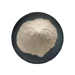 Wholesale High Quality Natural Fruit Powder Graviola Fruit 100% Water Soluble <strong>Soursop</strong> Fruit <strong>Juice</strong> Powder - Product Image 2