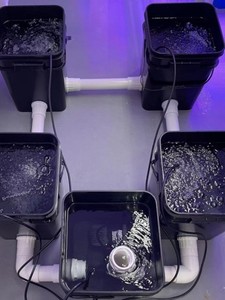 Seau de système hydroponique RDWC de 5 gallons avec refroidisseur <span class=keywords><strong>d</strong></span>'<span class=keywords><strong>eau</strong></span> - Product Image 3