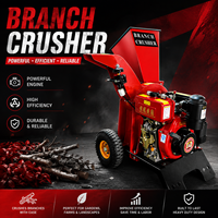 Mini broyeur de bois à moteur diesel, petit broyeur de jardin, broyeur de branches d'arbre, machine à broyer le bois