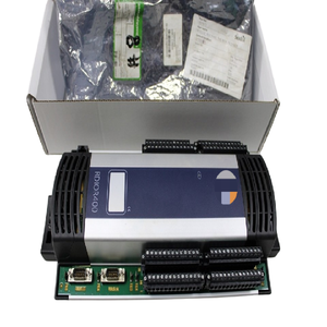 RDIOR400 600950 REV 3.1.0 Controllore di Programmazione Remota Input/Power per Automazione Industriale - Product Image 1