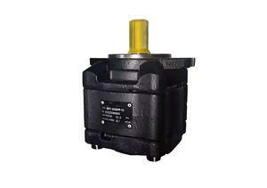 ปั๊มไฮดรอลิกแบบใบพัด ซีรีส์ CP1 ปั๊มน้ำมันเกียร์ CP1-63-P-10R-36 CP1-50-P-10R CP1-25-P-10R CP1-32-P-10R CP1-40-P-10R - Product Image 4
