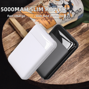 แบตเตอรี่สำรองพกพาขนาดเล็กแบบกำหนดเองได้ ความจุสูง บางเฉียบ ชาร์จเร็วแบบ USB Type-C คู่ กำลังไฟ 10 วัตต์ ใช้แบตเตอรี่ลิเธียมโพลิเมอร์ - Product Image 2