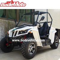 Buggy en paille à essence avec châssis 2 sièges, 2 places, deux places, latérale à côté, bon marché, vente en gros