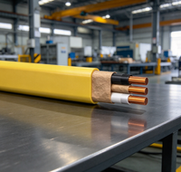 Câble électrique en cuivre non métallique gainé NM-B Romex 600V pour câblage résidentiel intérieur, câble d'alimentation pour maison, usine