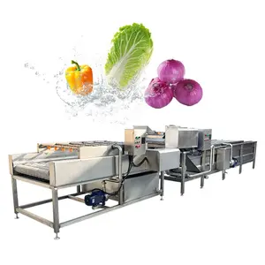 Ultrasonic Used Vegetable Clean Wash Washer Machine Air Bubble Fruit Washer