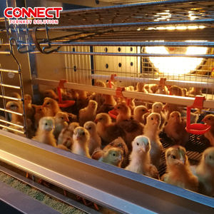 ฟาร์มสัตว์ปีกร้อยพันตัว ระบบให้อาหารไก่อัตโนมัติเต็มรูปแบบ ระบบกรงเลี้ยงไก่เนื้อแบบแบตเตอรี่ใหม่ โรงเรือนเลี้ยงไก่ - Product Image 6