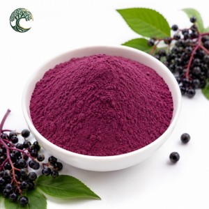 Poudre d'extrait de <span class=keywords><strong>sureau</strong></span> biologique premium en vrac, soluble dans l'eau, pure et naturelle, poudre de fruits de Sambucus Nigra de qualité alimentaire, vente en gros - Product Image 2